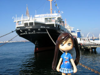 ���ł������_�s���L�[�I�s